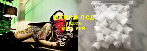 прущие грибы Балабаново