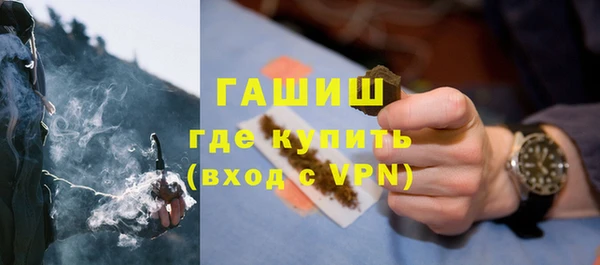 винт Ельня