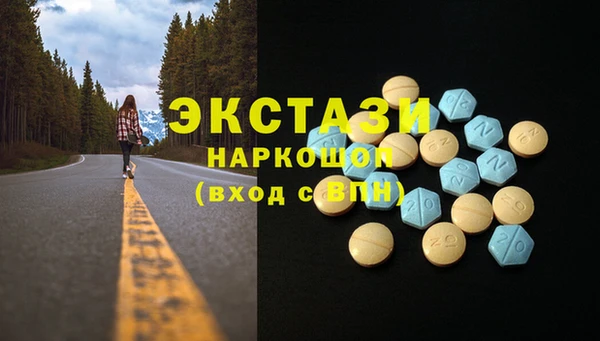 хмурый Аркадак